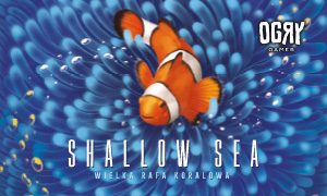 Shallow Sea - Wielka Rafa Koralowa
